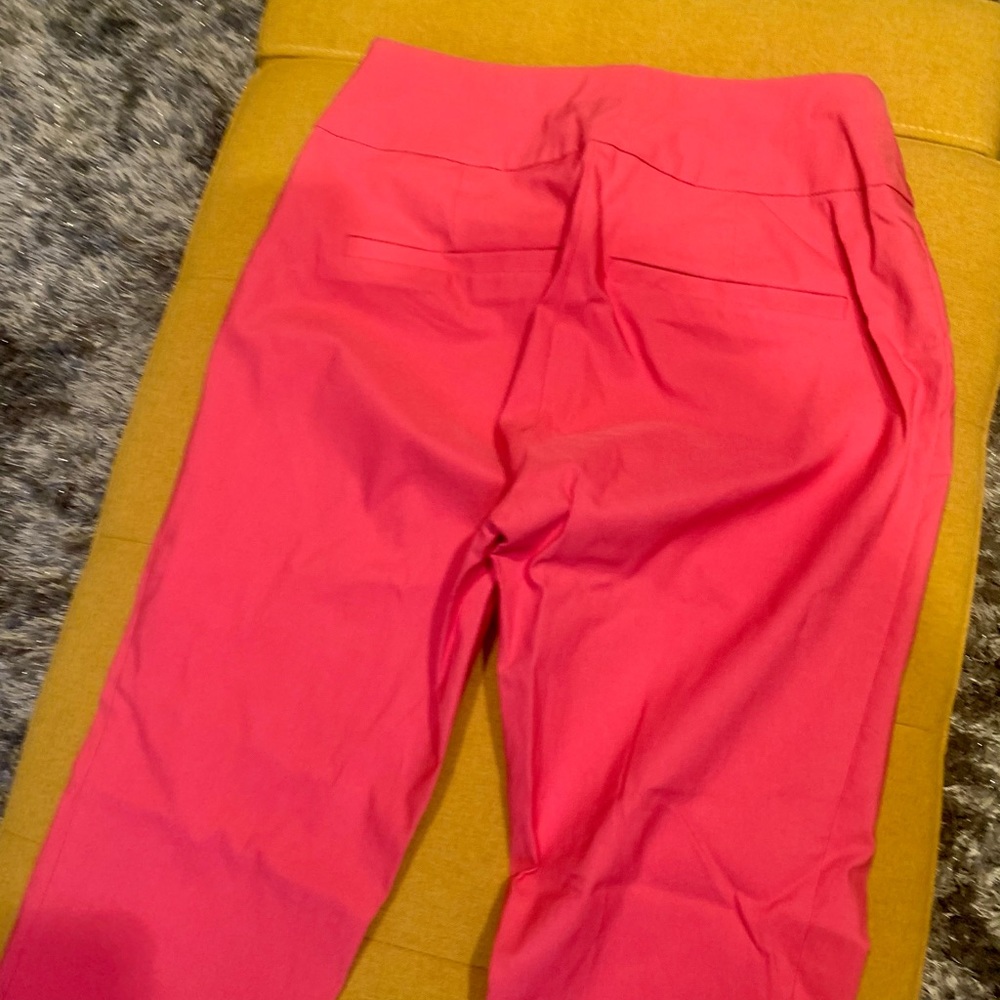 Cute Capri - image 5